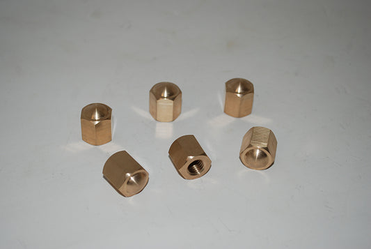Cam Cover Nut
